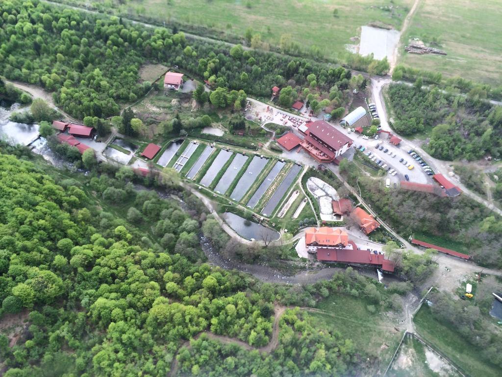 Complex Pastravaria Albota Arpaşu de Sus Exterior foto