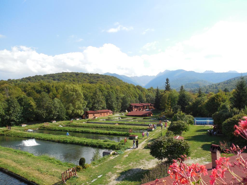 Complex Pastravaria Albota Arpaşu de Sus Exterior foto