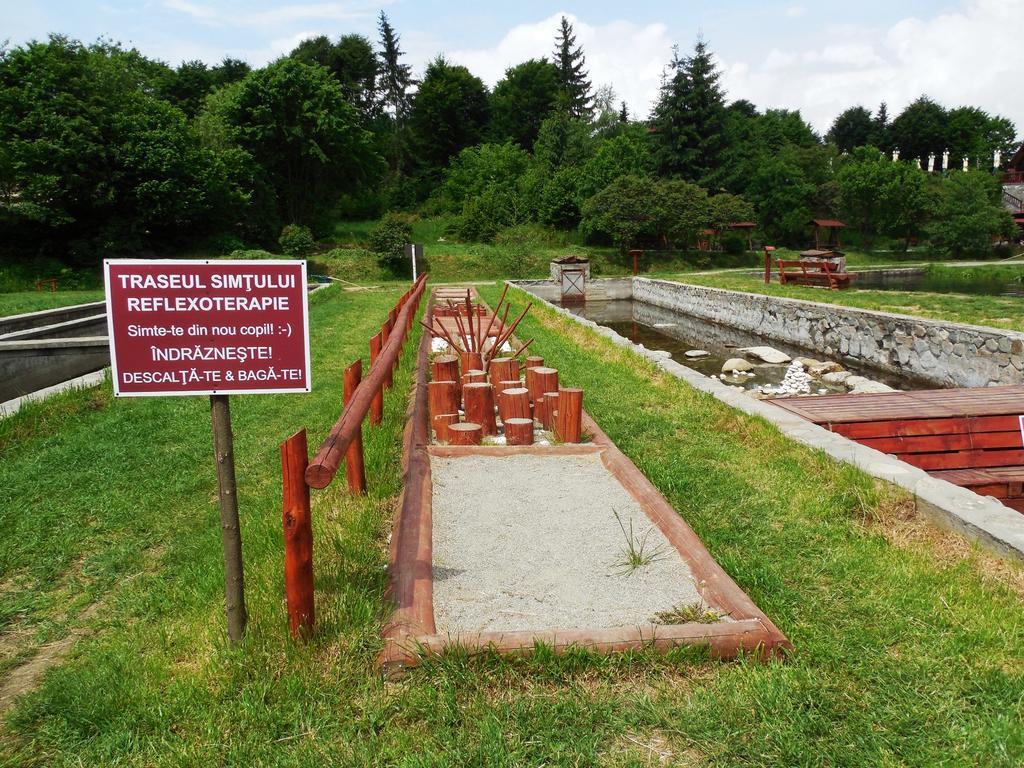 Complex Pastravaria Albota Arpaşu de Sus Exterior foto