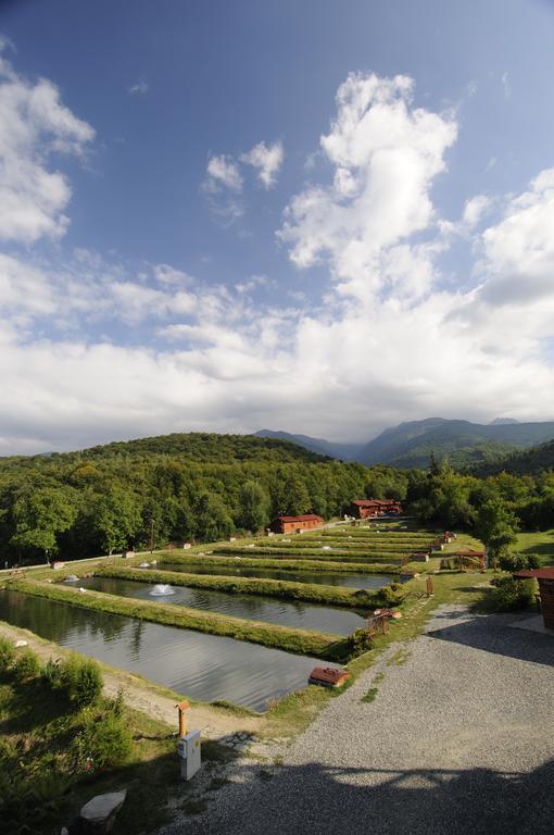 Complex Pastravaria Albota Arpaşu de Sus Exterior foto