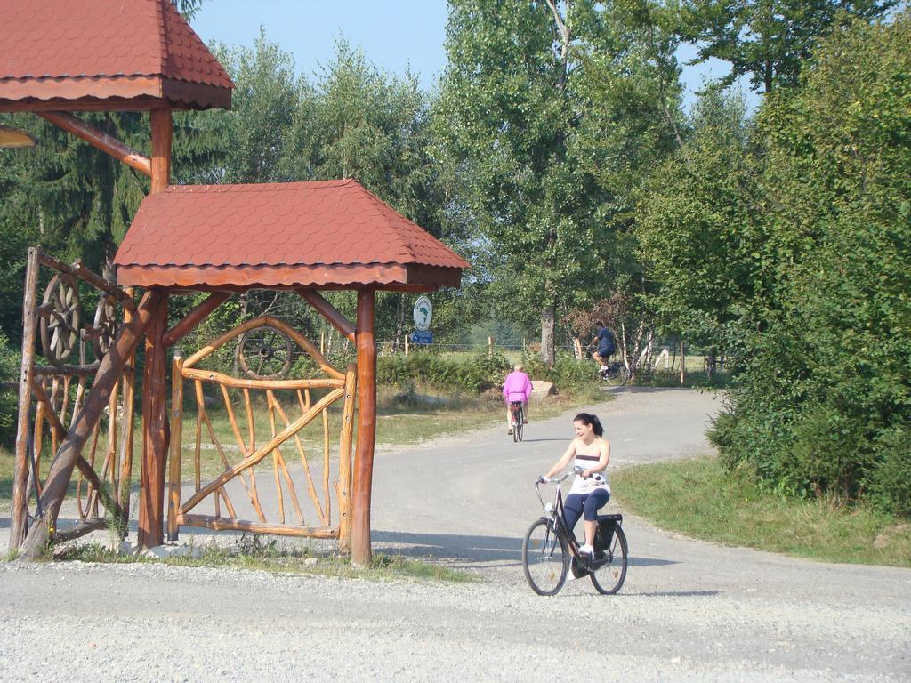 Complex Pastravaria Albota Arpaşu de Sus Exterior foto